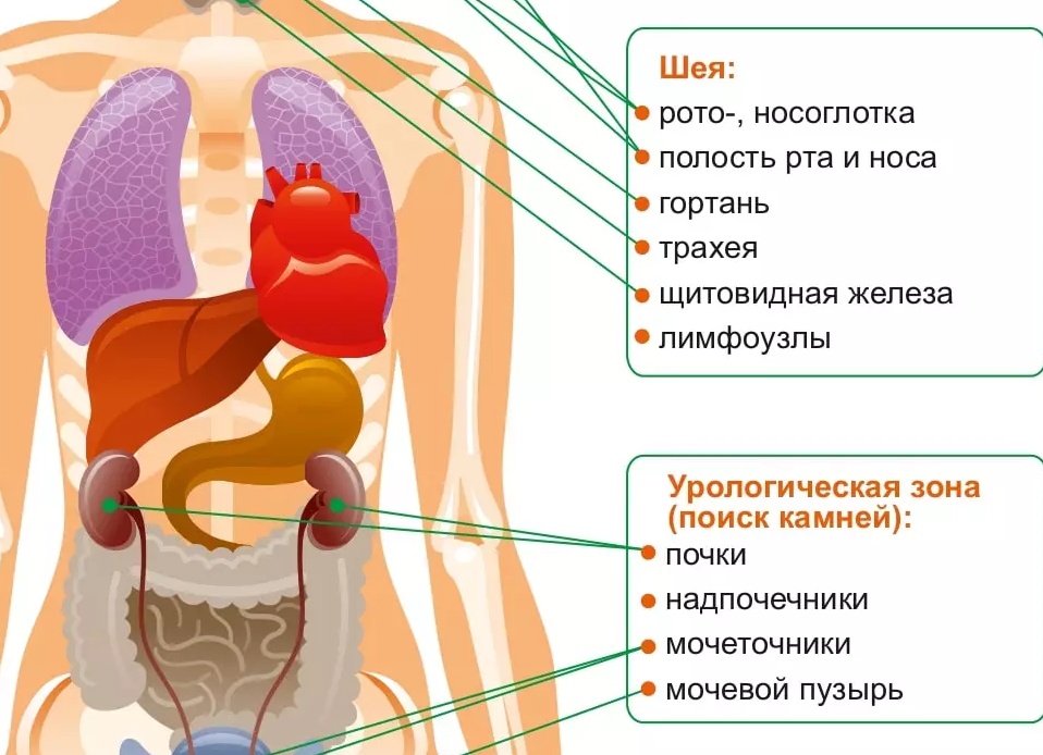 Все о КТ лимфоузлов шеи
